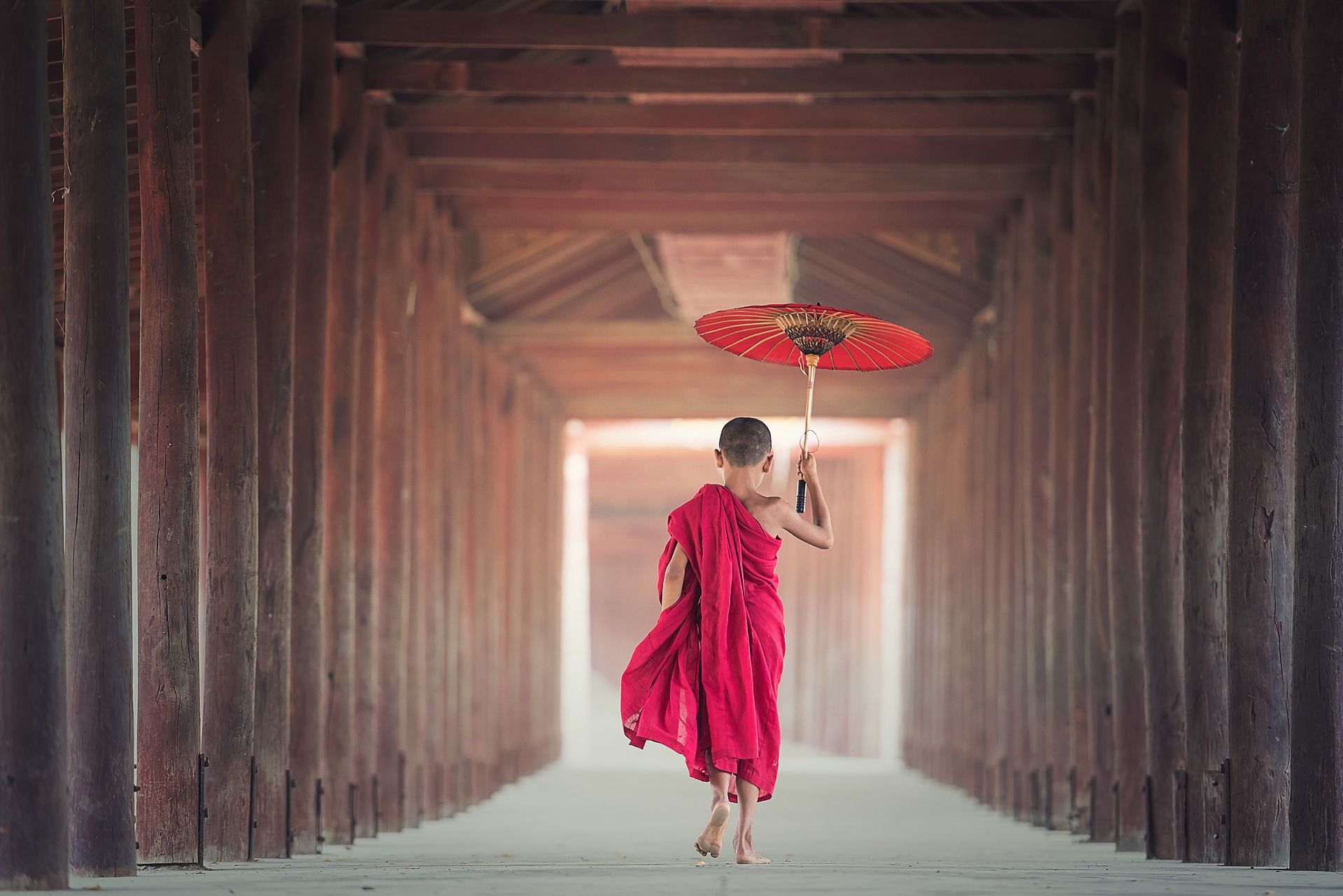 Ein asiatischer Junge läuft im roten, buddhistischen Gewand und mit rotem Schirm durch einen Gang aus Holzstämmen