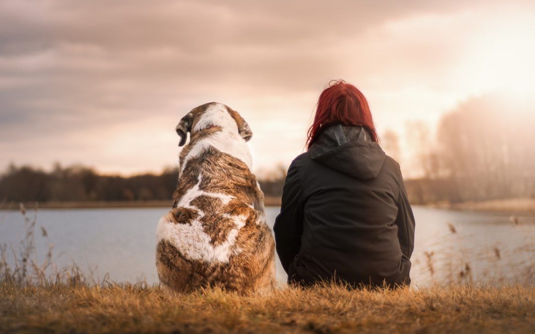 Frau und Hund sitzen nebeneinander am Wasser wie ein Paar