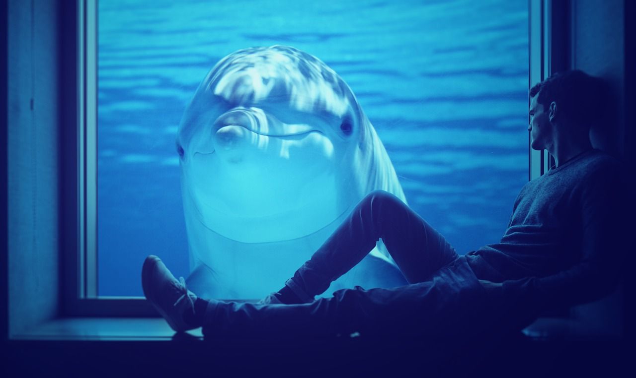 Mann sitzt vor einer Glasscheiber hinter der ein Delfin zu ihm schaut als Sinnbild für die Glückskindstrategie