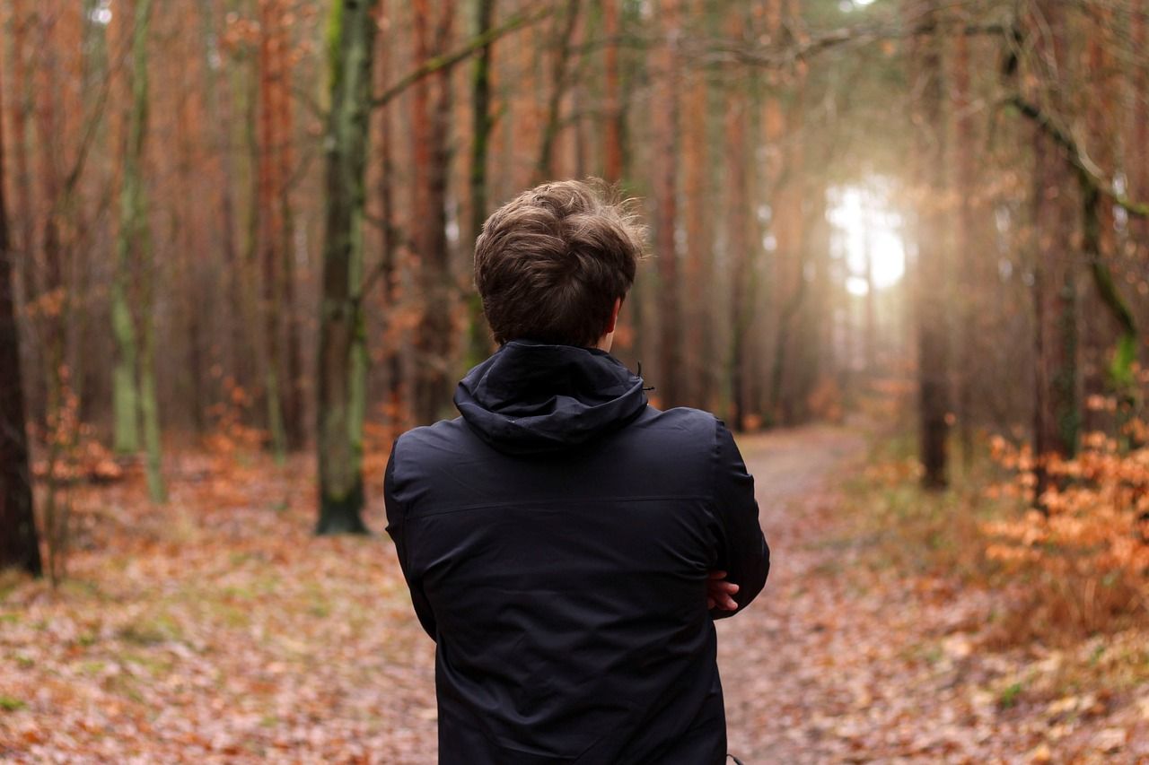 Man im Wald schaut in die Sonne als Sinnbild für seine Intuition