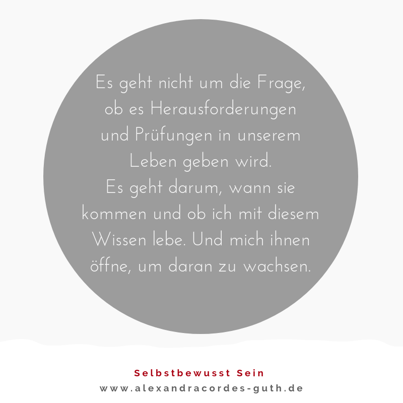 Zitat zum Thema Herausforderungen von Alexandra Cordes-Guth