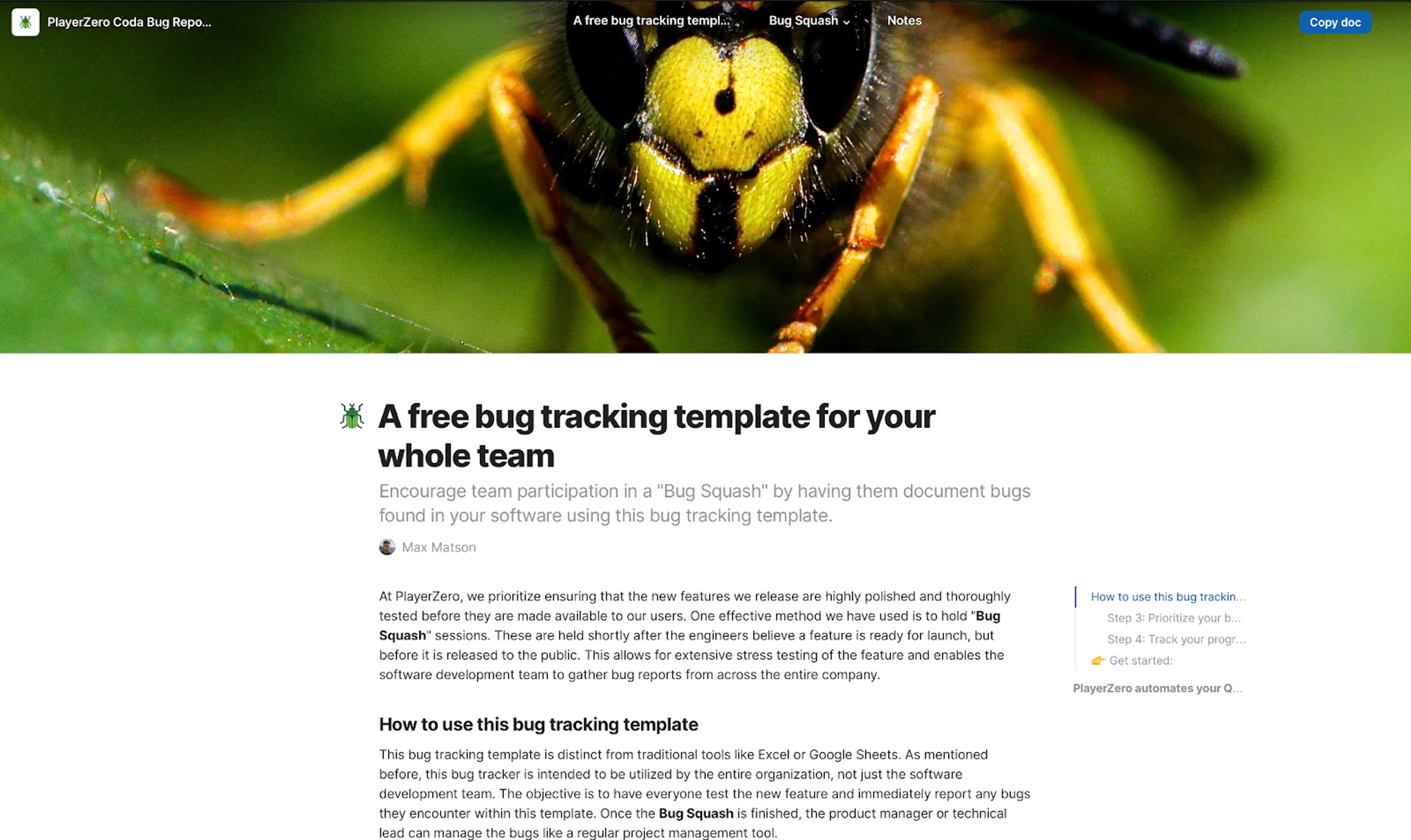 Coda bug report template