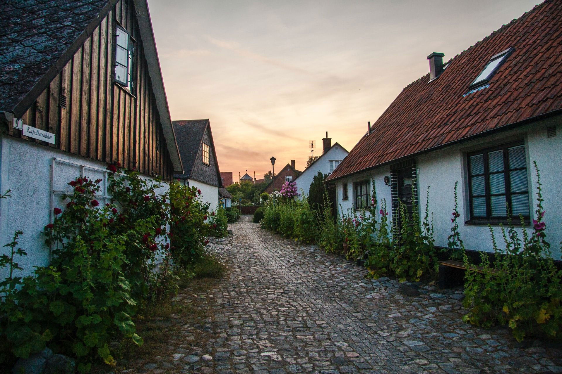 Foto: Julius Jansson - Unsplash.