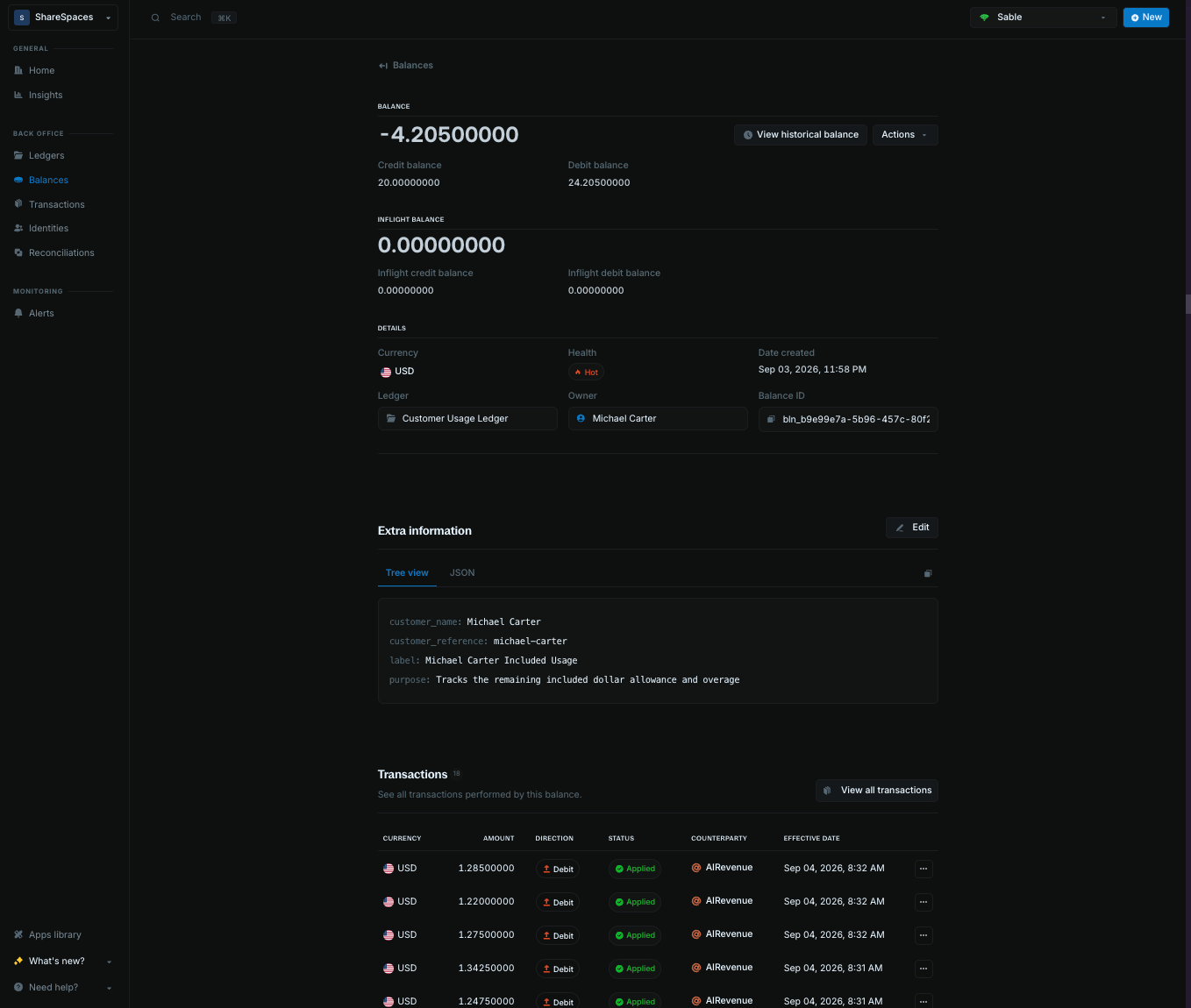 Blnk Cloud balance for Michael Carter in the Customer Usage Ledger, showing a USD current balance of -4.20500000 and Applied AIRevenue debit transactions.