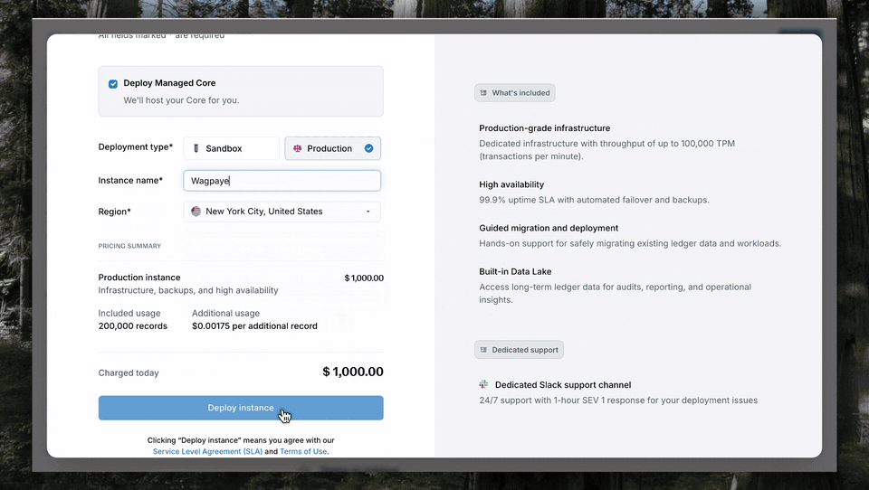 Blnk Cloud in deployment