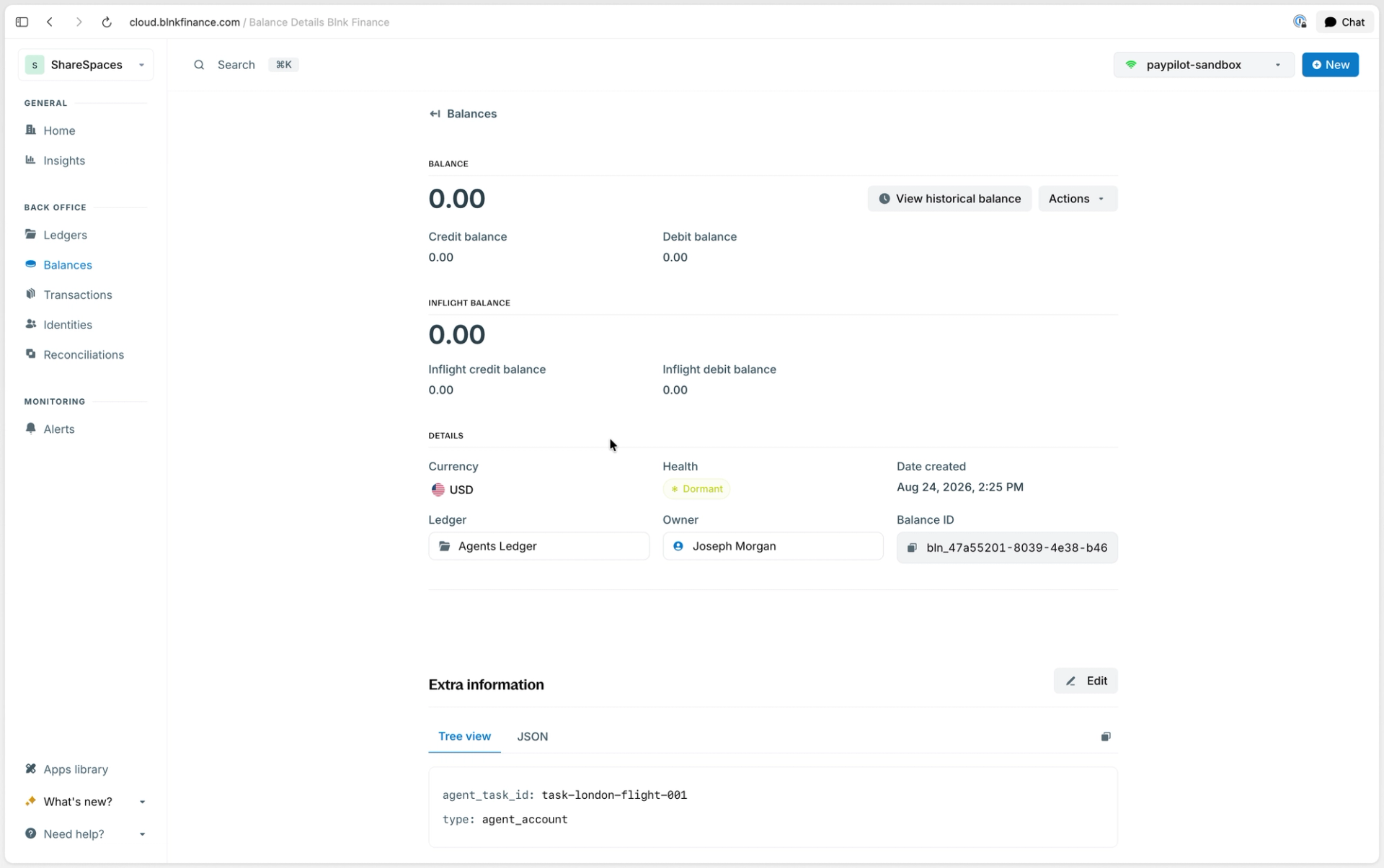 Screenshot of Blnk Cloud showing a new agent balance