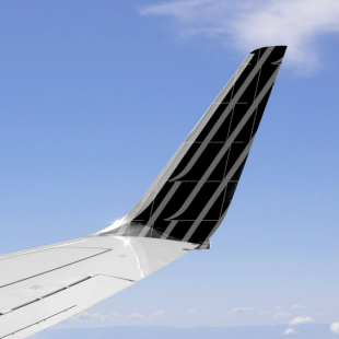 Wing tip