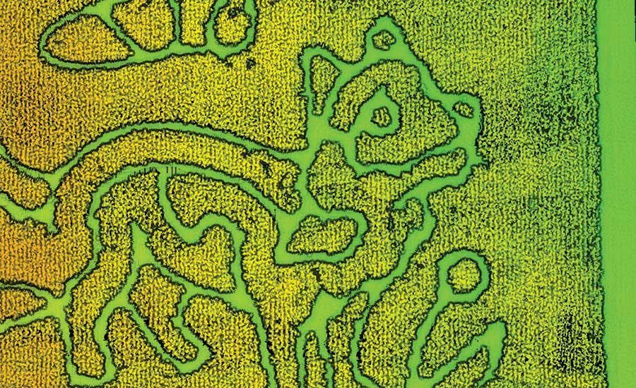 Complex Corn Maze Demonstrates UAV-based LiDAR