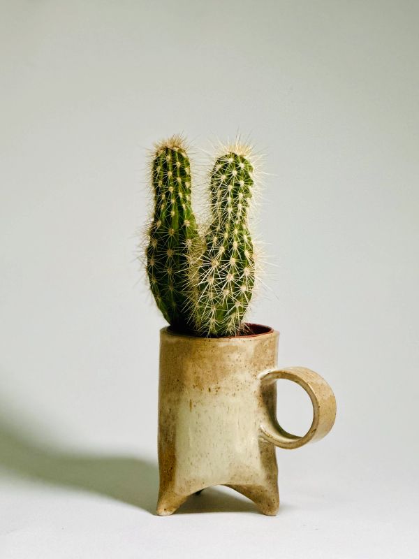Footed Cactus Planter