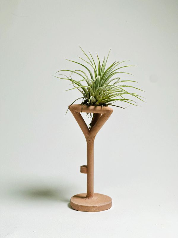 Air Plant Stand