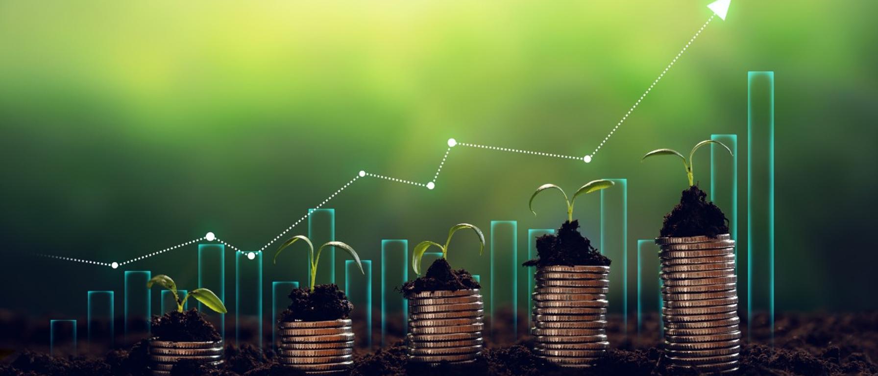 Stock Market Commentary June 2024