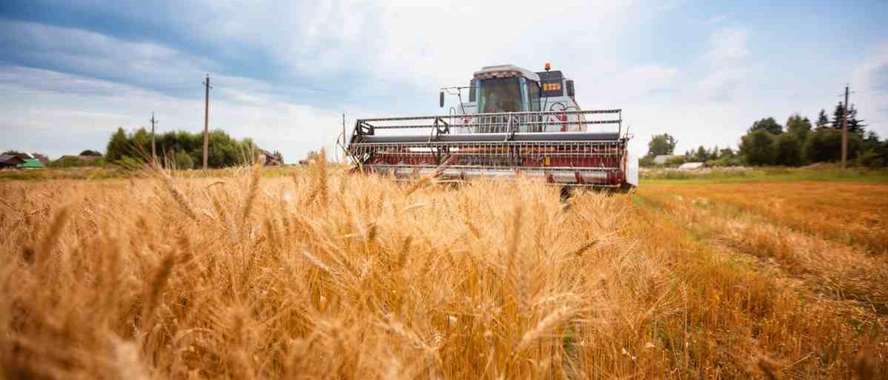Tax Loss Harvesting: A Strategic Year-End Tax Planning Tool?