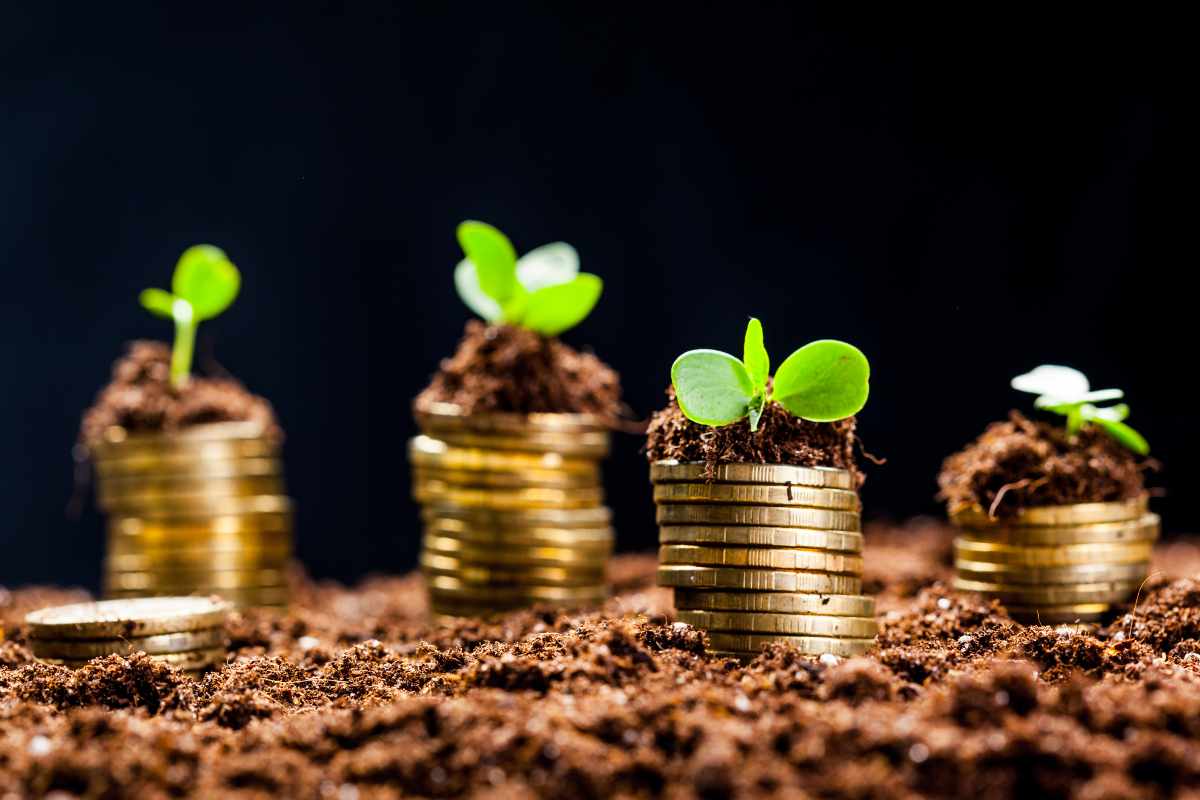 Stock Market Commentary May 2024