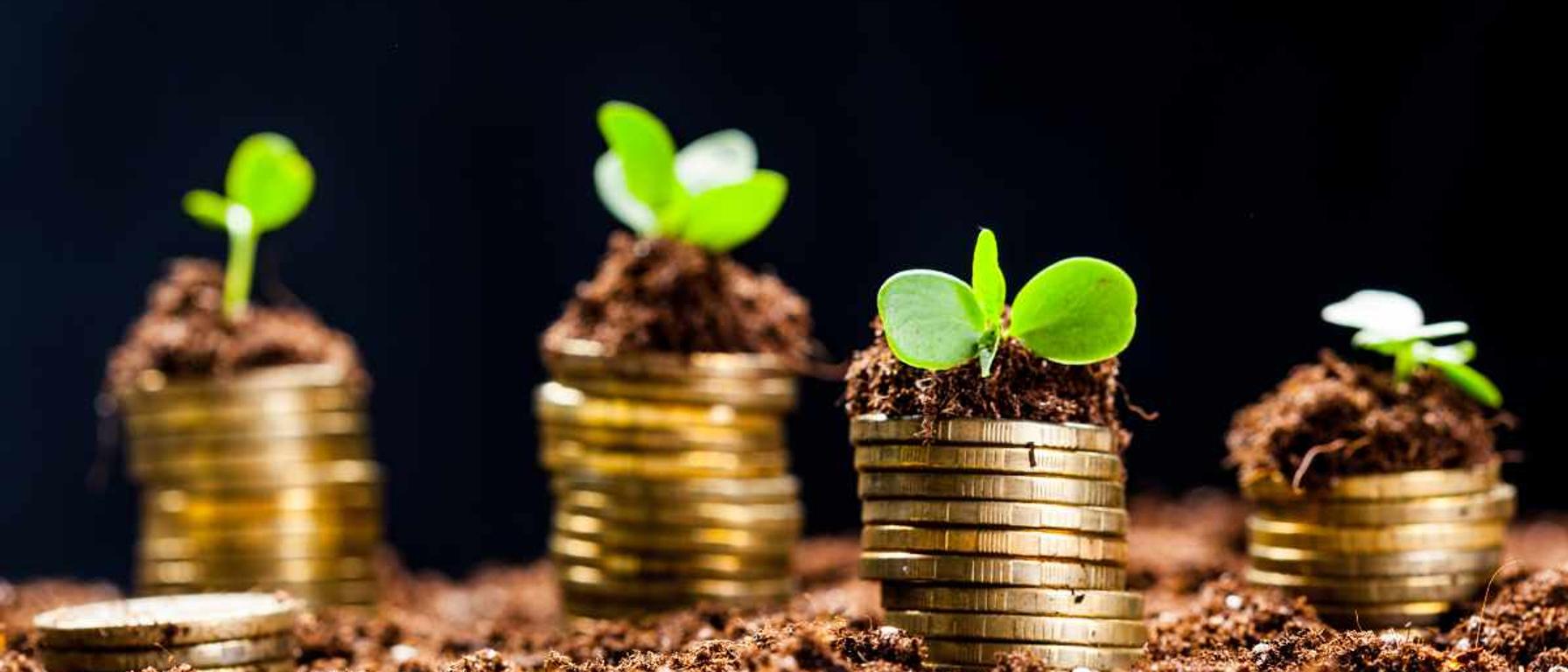 Stock Market Commentary May 2024