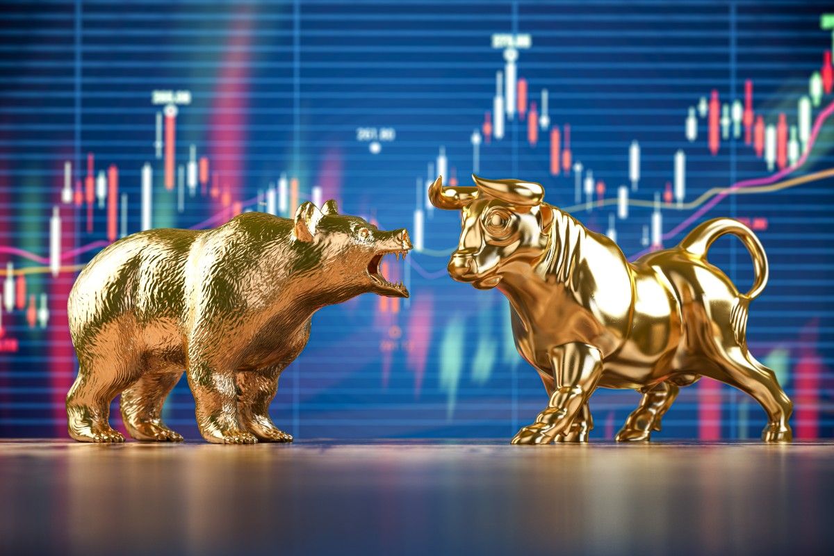 Bear vs Bull market: How to Tell the Difference