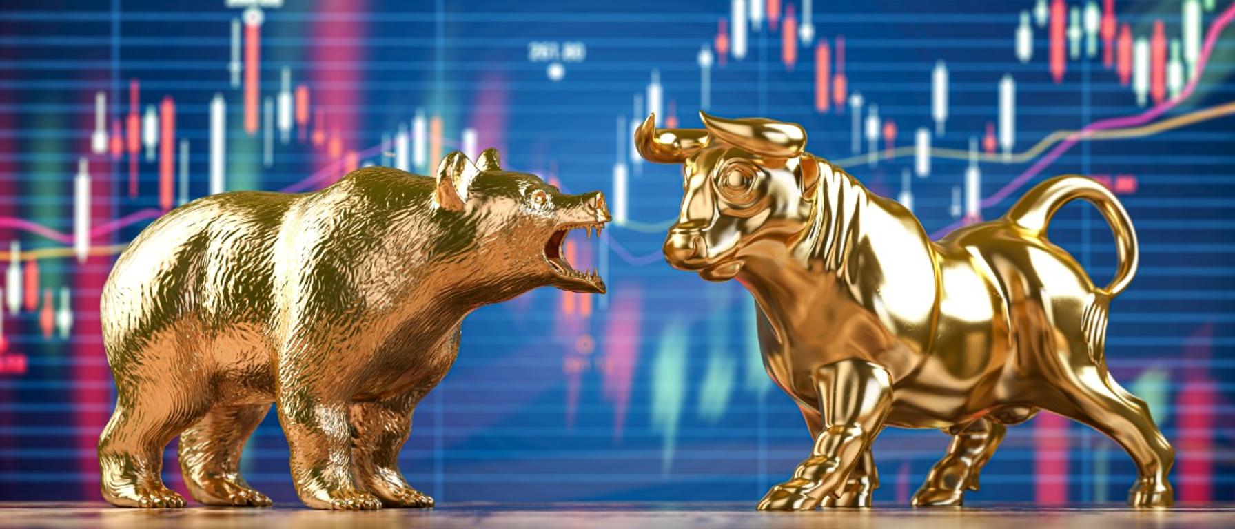 Bear vs Bull market: How to Tell the Difference