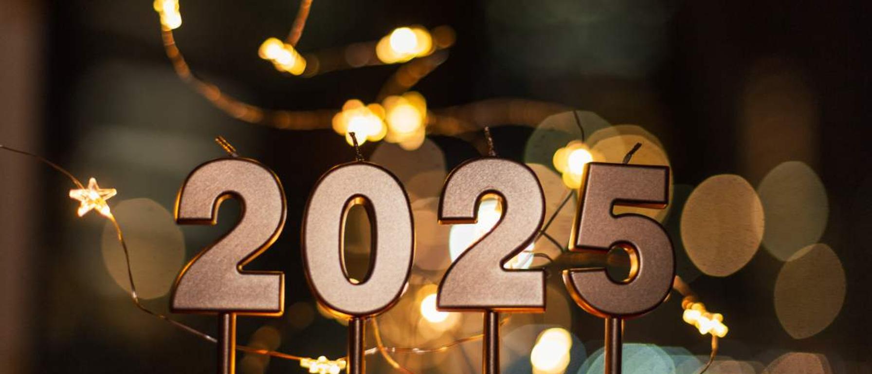 Stock Market Commentary January 2025