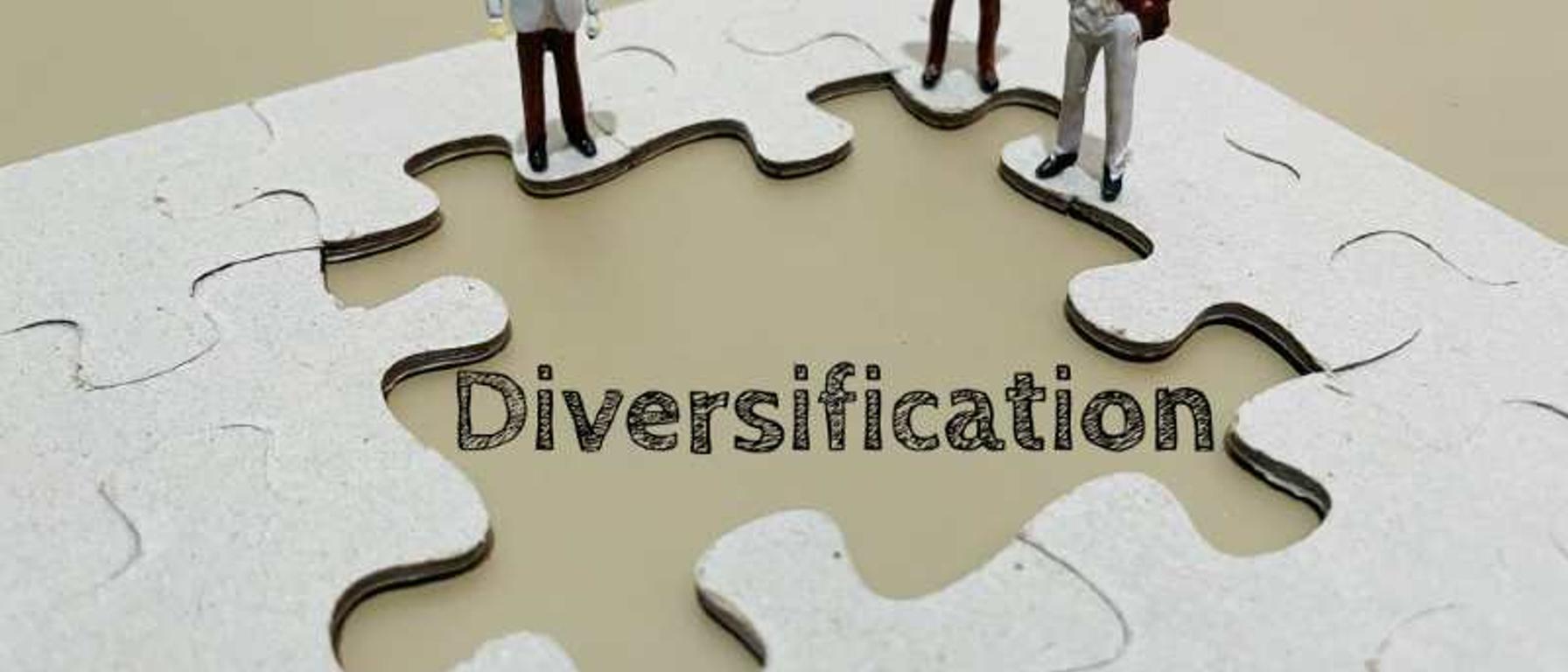 Power of Diversifying Your Stock Portfolio: Balancing Risk and Growth