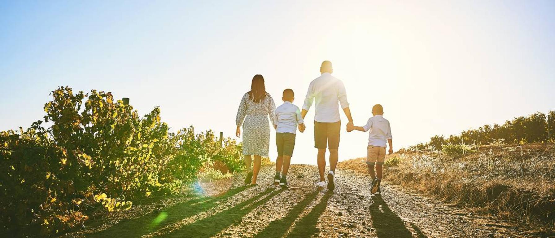 Estate Planning for Blended Families: Protecting Your Wishes Across Complex Family Structures