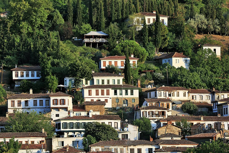 Traditional white houses with red tiled roofs scattered across a steep, wooded hillside.