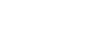Provider CSAO