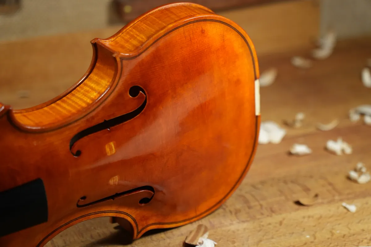 Gros plan sur la table vernie d'un violon : les ouïes, les filets et les éclisses en érable ondé, posé sur l'établi parmi les copeaux.