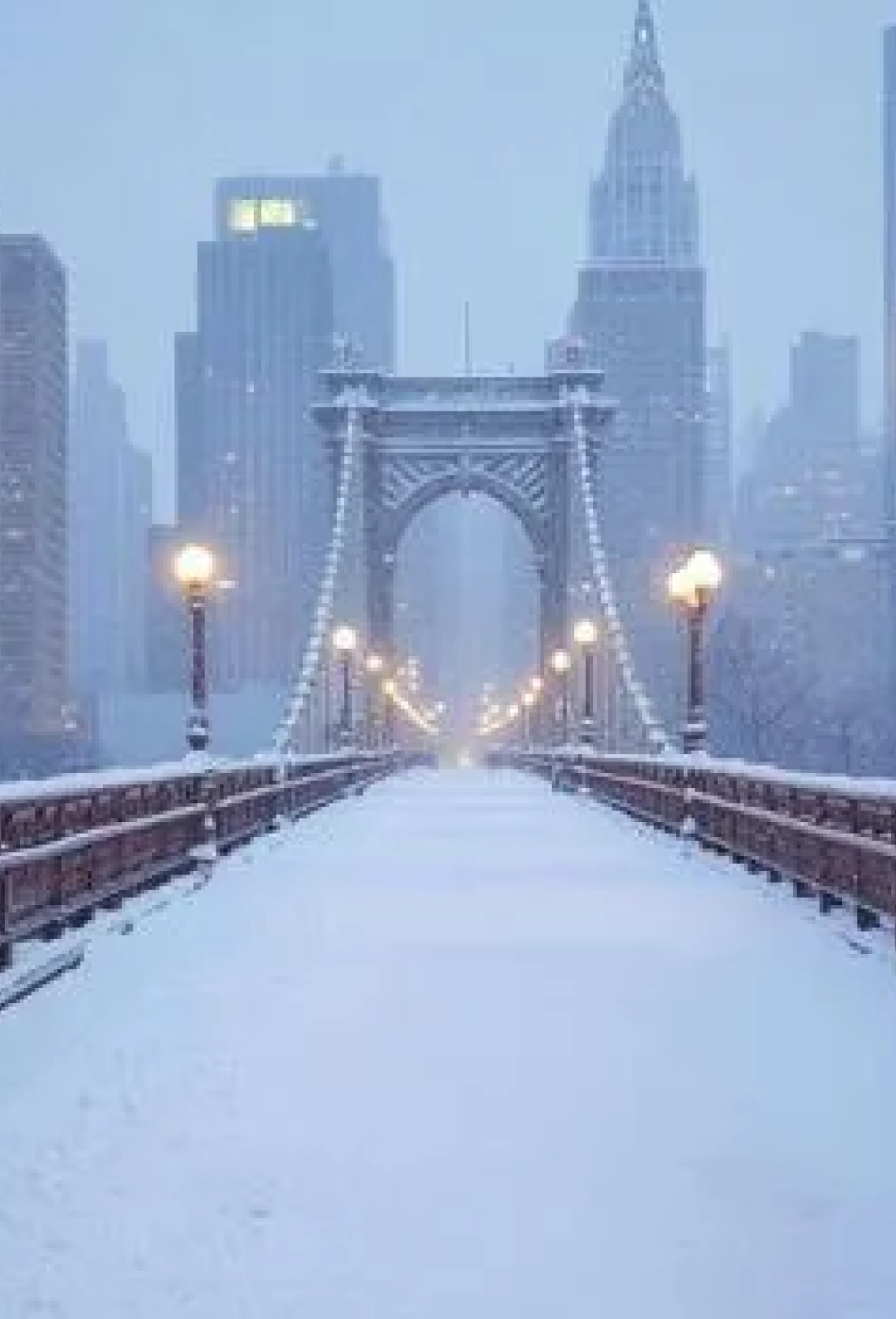 Comandini Report - January 2026