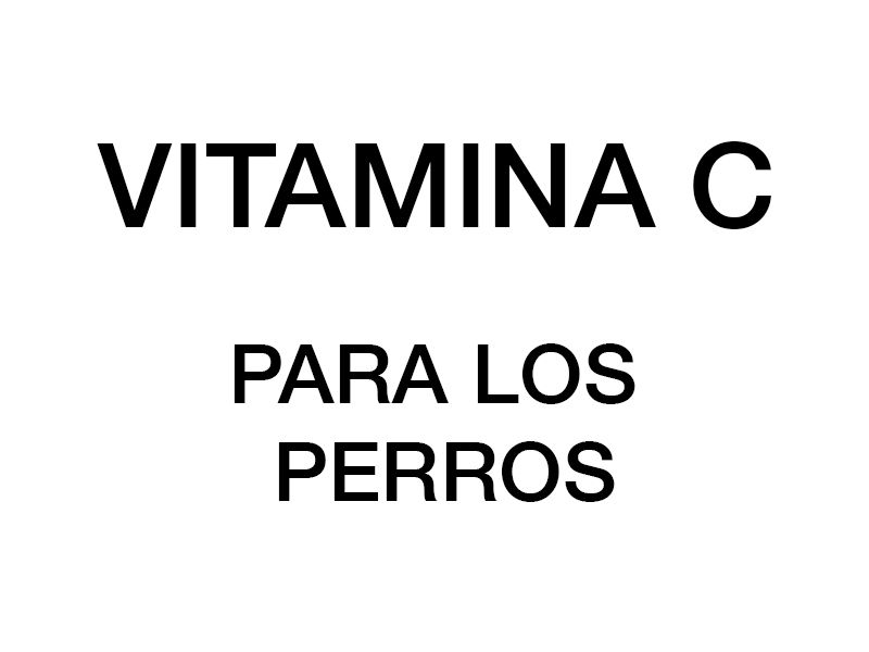 Beneficios de la vitamina C para los perros