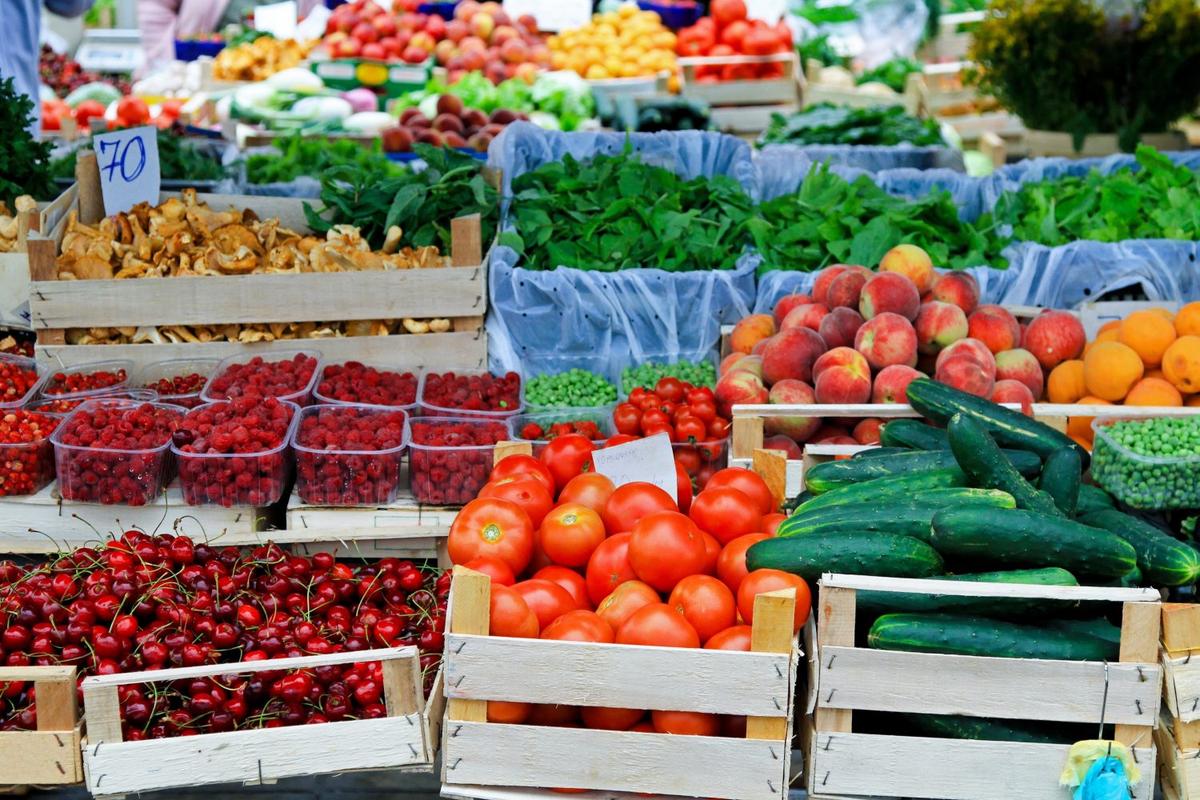 An array of fresh fruits and vegetables neatly organized in crates.