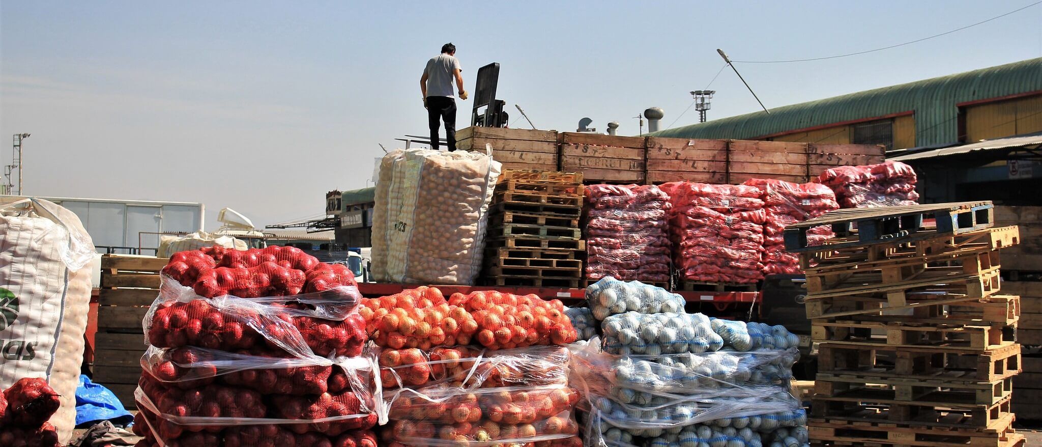 Man on truck at wholesale market with sacks of produce.