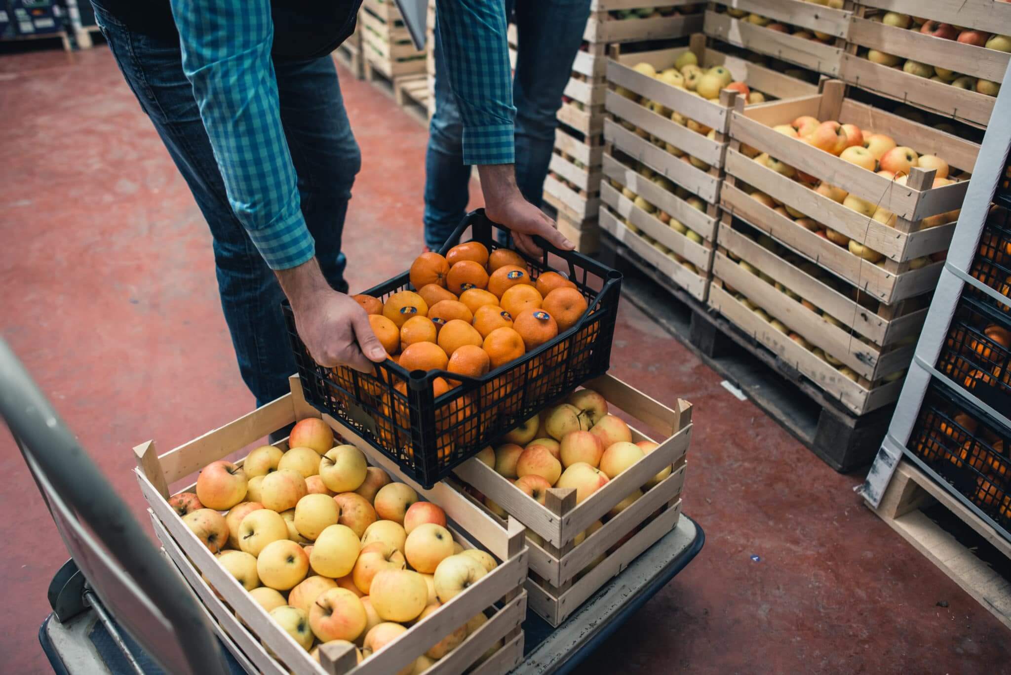 Boxes of fruits inside a warehouse.