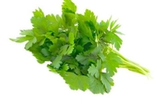 Foodservice Groceries
