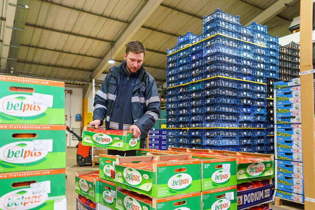 A man piling a box of belpas oranges.