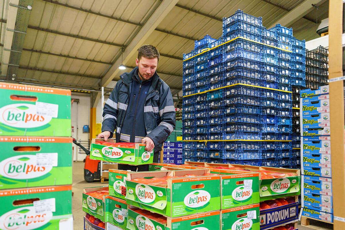 A man piling a box of belpas oranges.