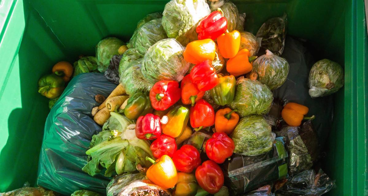 Rotten and spoiled vegetables discarded in a garbage bin.