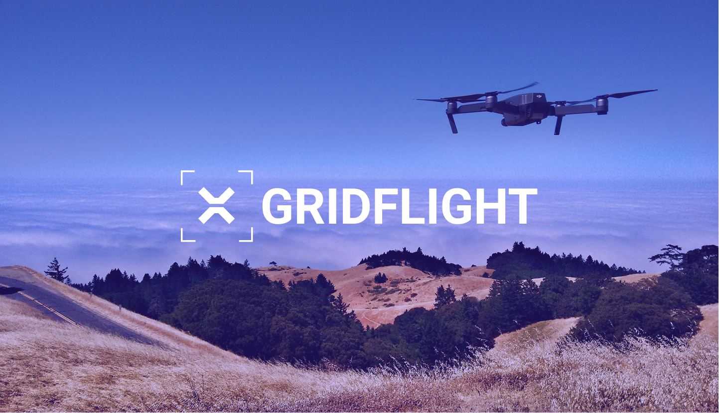 Logo Gridflight