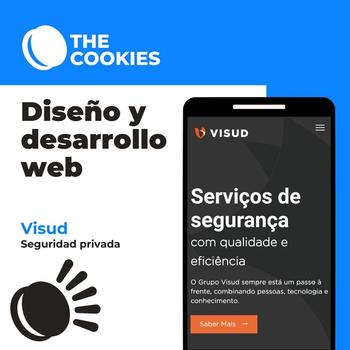 Diseño y desarrollo web de Visud por: Alberto, Guillermo y Nagore