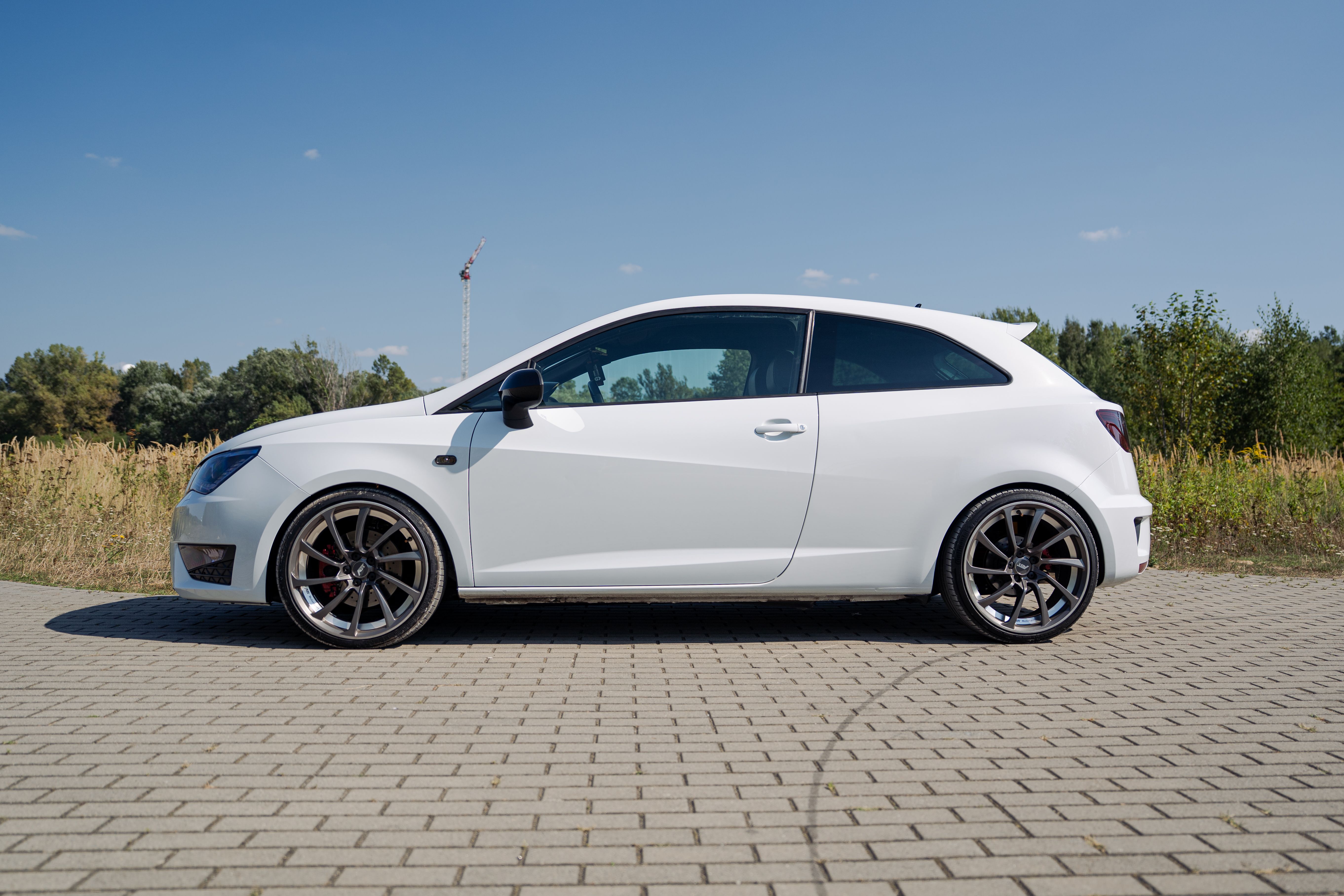 Miniatura 10