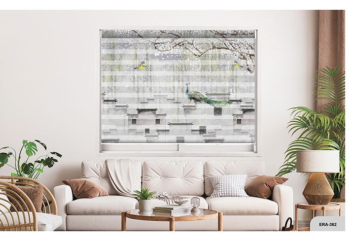 Collection 5 - Image