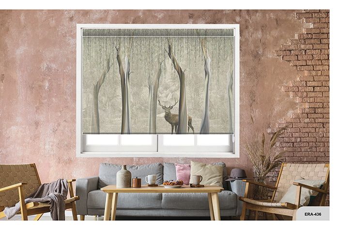 Collection 7 - Image