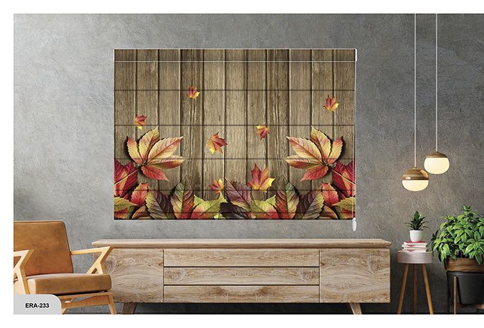 Collection 3 - Image