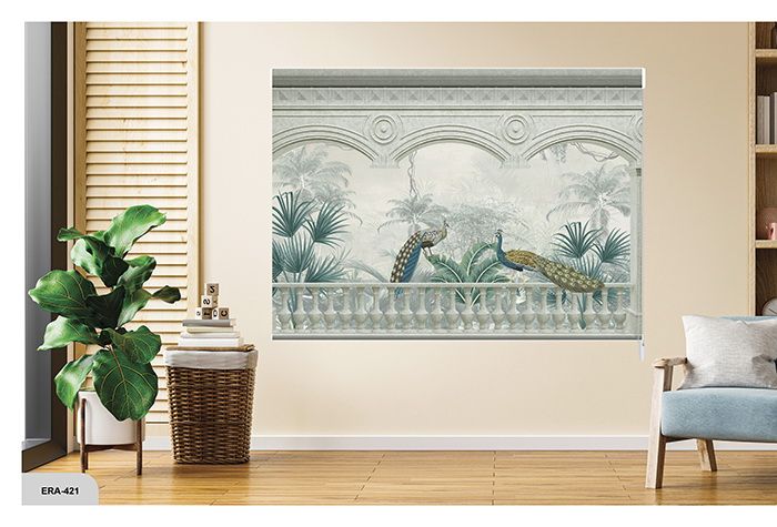 Collection 6 - Image