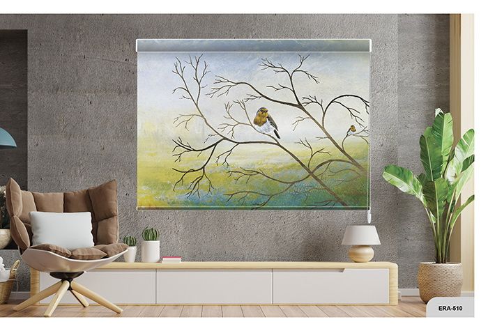 Collection 8 - Image