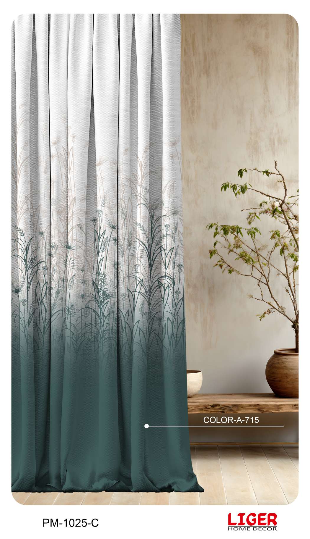 Collection 3 - Image