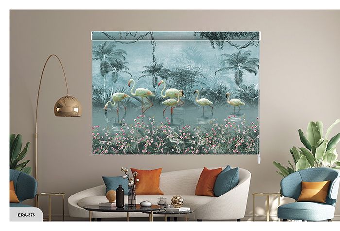 Collection 6 - Image