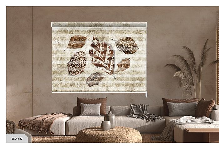 Collection 1 - Image