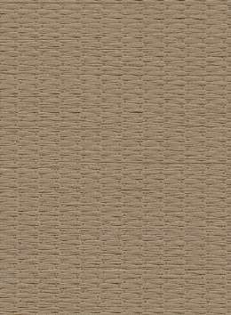 Latte - Image