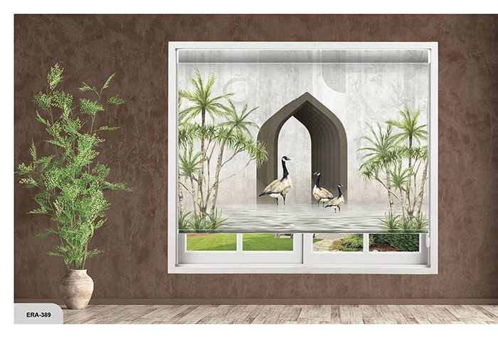 Collection 6 - Image