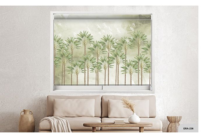 Collection 3 - Image