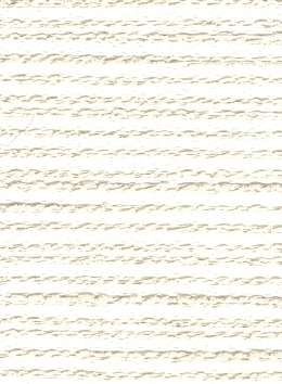 White - Image